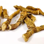 Unlocking the Potency of Vacha Sweet Flag Benefits Dosage Uses and Home Remedies for Holistic Wellness Nutrixia Food 118885256