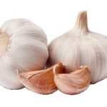 garlic allium sativum