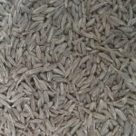 jeera cumin seeds ato