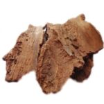 nutrixia karanj chhal bark karanja pongamia pinnata pongam oil tree bark indian beech 100 gms product images orvr9xzv3iu p600063262 0 202304011306