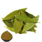 a grade bay leaf powder 684