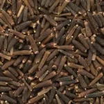 kali jeeri kalijiri centratherum anthelminticum 500x500