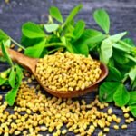 methi kr daane 1658318732